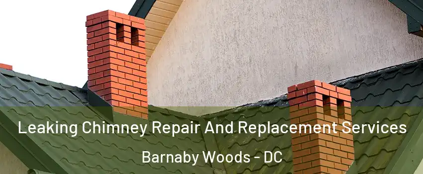 Leaking Chimney Repair And Replacement Services Barnaby Woods - DC
