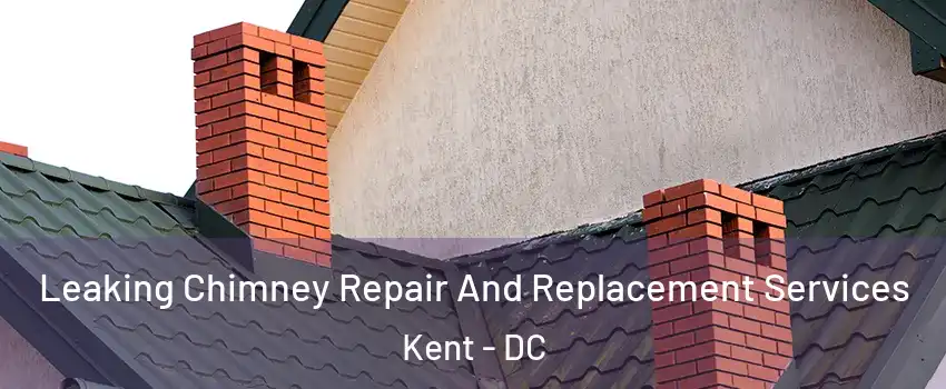 Leaking Chimney Repair And Replacement Services Kent - DC