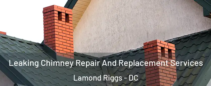 Leaking Chimney Repair And Replacement Services Lamond Riggs - DC