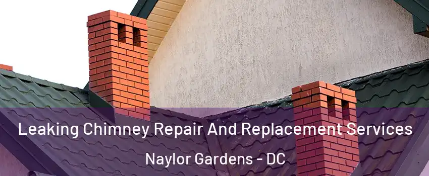Leaking Chimney Repair And Replacement Services Naylor Gardens - DC