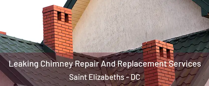 Leaking Chimney Repair And Replacement Services Saint Elizabeths - DC