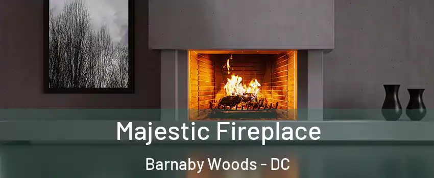 Majestic Fireplace Barnaby Woods - DC