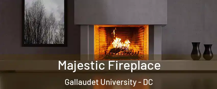 Majestic Fireplace Gallaudet University - DC