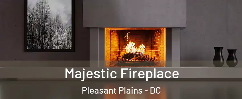 Majestic Fireplace Pleasant Plains - DC