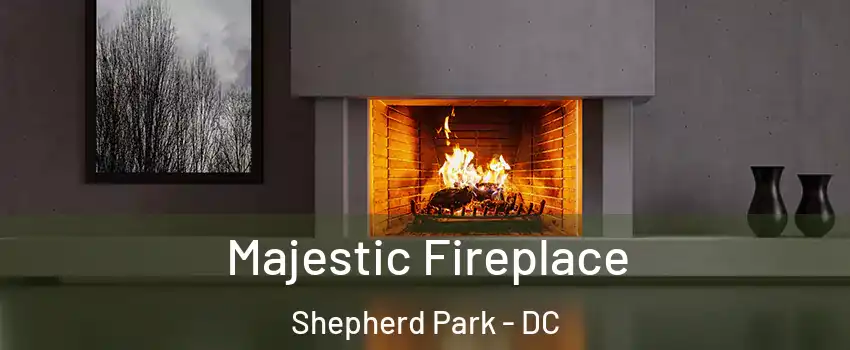 Majestic Fireplace Shepherd Park - DC