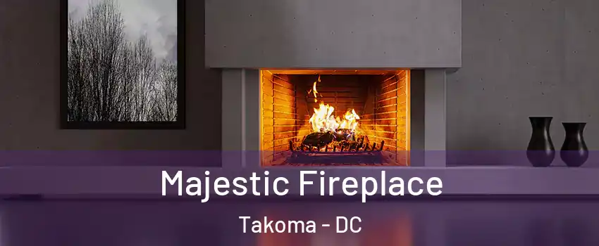 Majestic Fireplace Takoma - DC