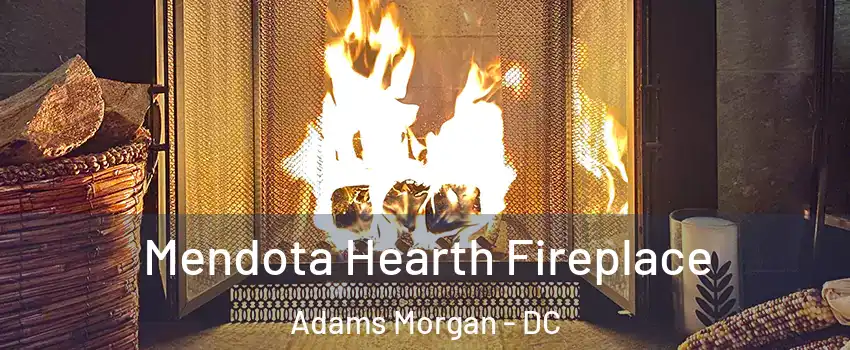 Mendota Hearth Fireplace Adams Morgan - DC