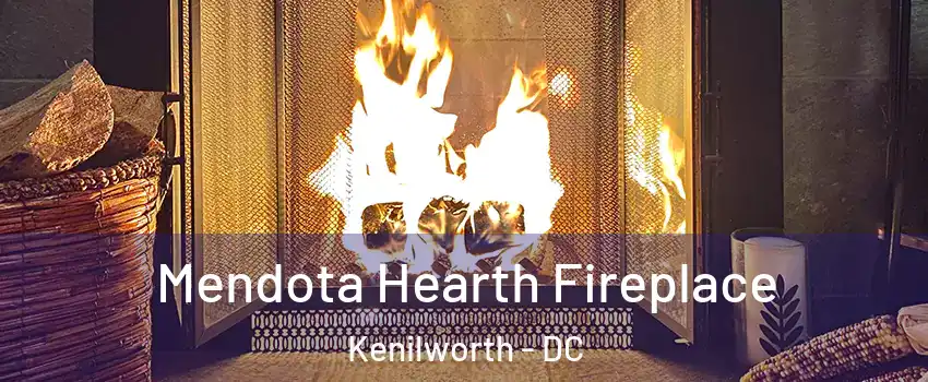 Mendota Hearth Fireplace Kenilworth - DC