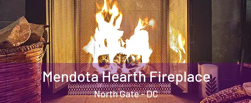 Mendota Hearth Fireplace North Gate - DC