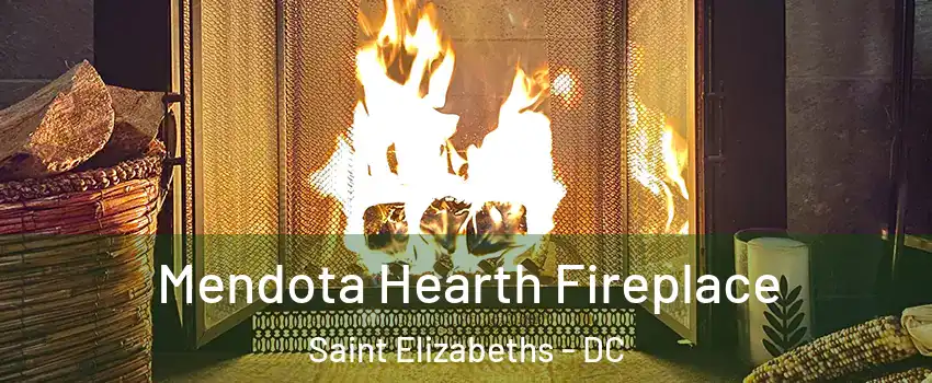 Mendota Hearth Fireplace Saint Elizabeths - DC