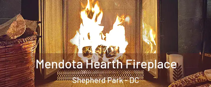 Mendota Hearth Fireplace Shepherd Park - DC