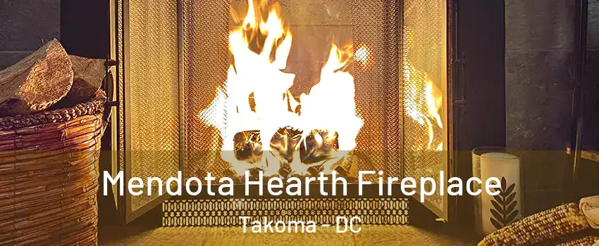 Mendota Hearth Fireplace Takoma - DC