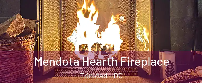 Mendota Hearth Fireplace Trinidad - DC
