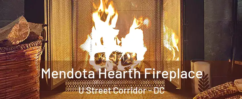 Mendota Hearth Fireplace U Street Corridor - DC