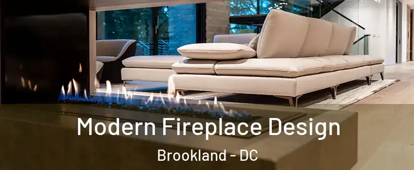 Modern Fireplace Design Brookland - DC