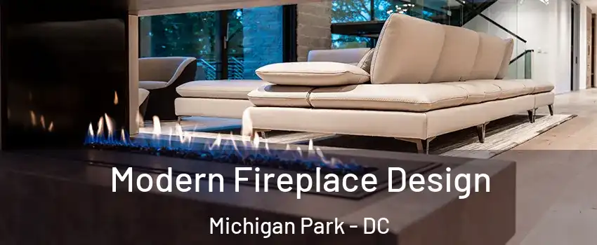 Modern Fireplace Design Michigan Park - DC