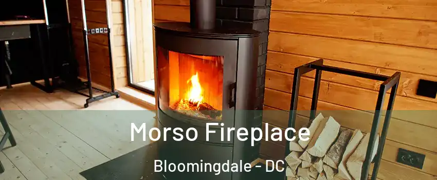 Morso Fireplace Bloomingdale - DC