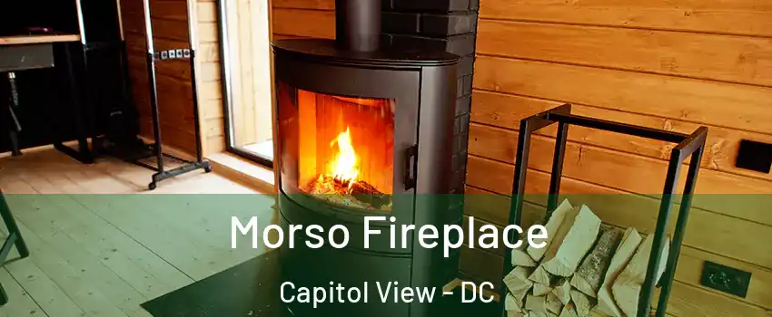 Morso Fireplace Capitol View - DC