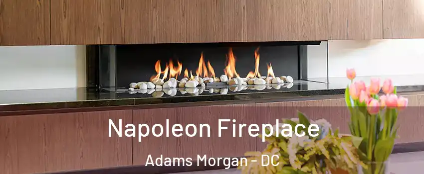 Napoleon Fireplace Adams Morgan - DC