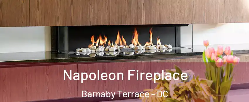 Napoleon Fireplace Barnaby Terrace - DC