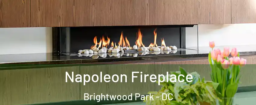 Napoleon Fireplace Brightwood Park - DC