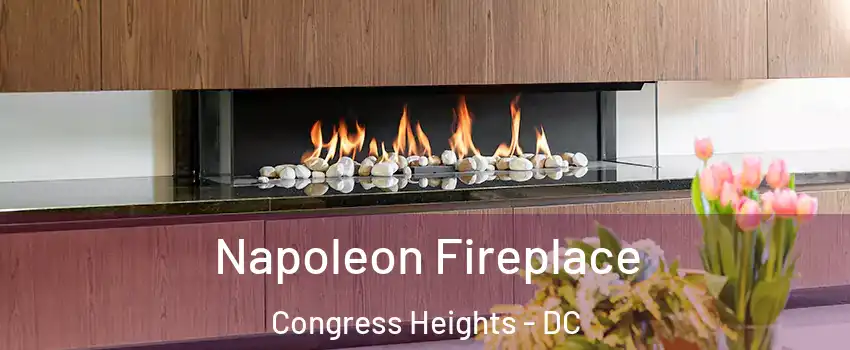 Napoleon Fireplace Congress Heights - DC