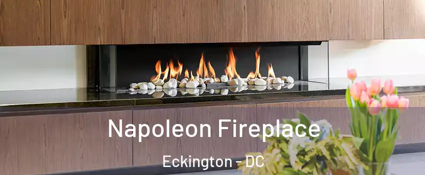 Napoleon Fireplace Eckington - DC