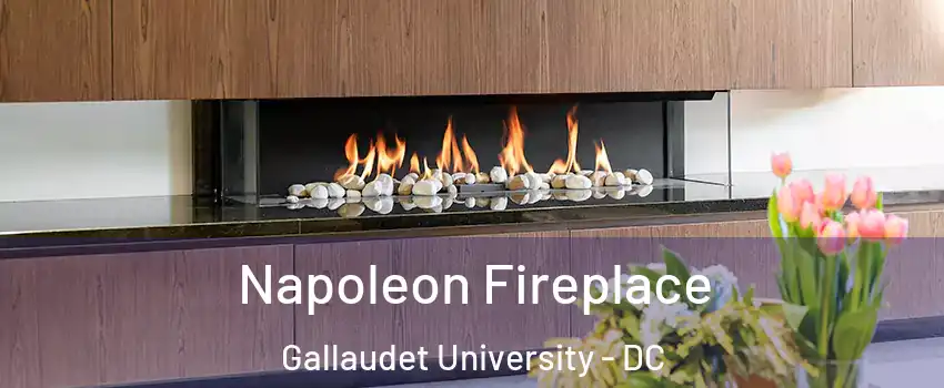 Napoleon Fireplace Gallaudet University - DC