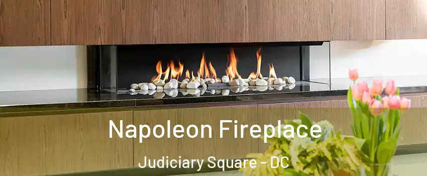 Napoleon Fireplace Judiciary Square - DC