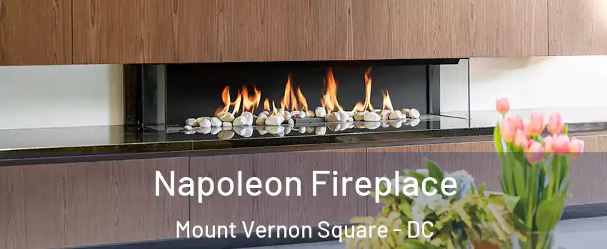 Napoleon Fireplace Mount Vernon Square - DC