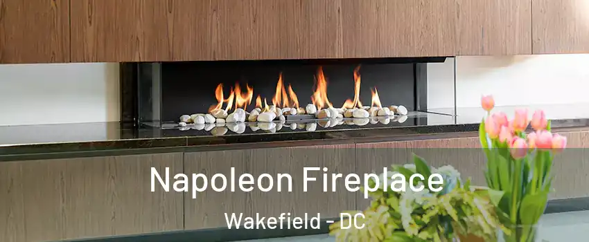 Napoleon Fireplace Wakefield - DC
