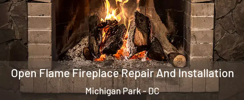 Open Flame Fireplace Repair And Installation Michigan Park - DC