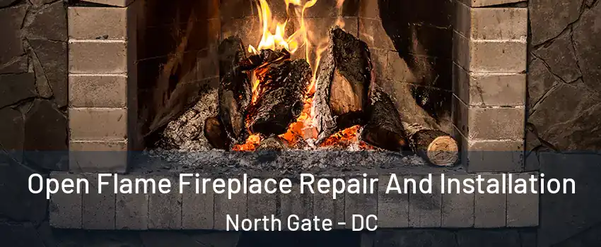 Open Flame Fireplace Repair And Installation North Gate - DC