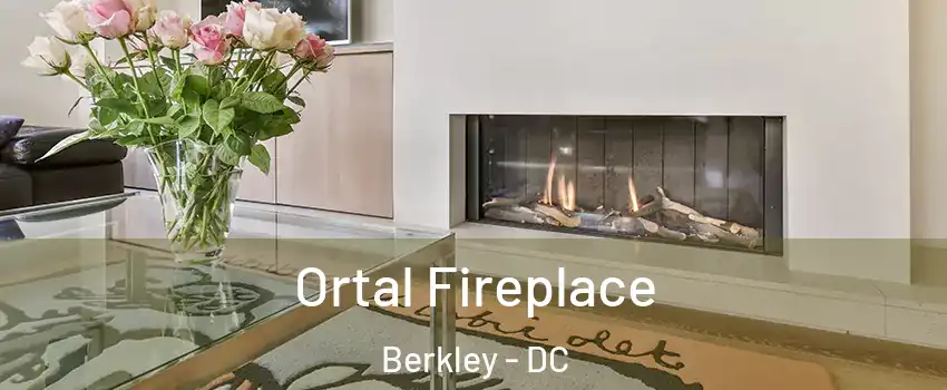 Ortal Fireplace Berkley - DC