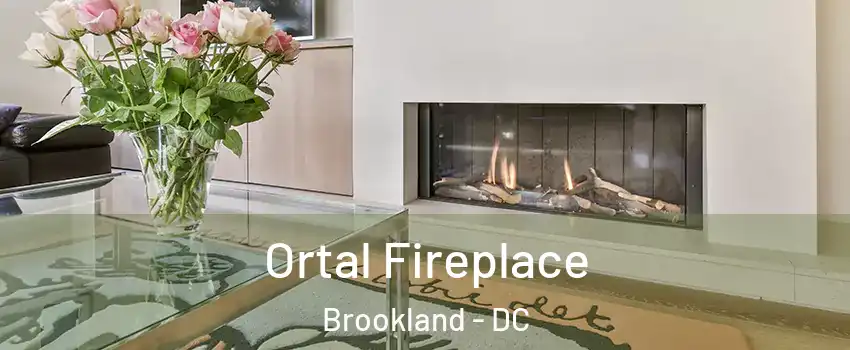 Ortal Fireplace Brookland - DC