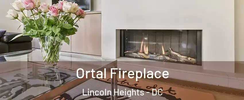 Ortal Fireplace Lincoln Heights - DC