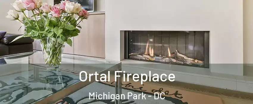 Ortal Fireplace Michigan Park - DC