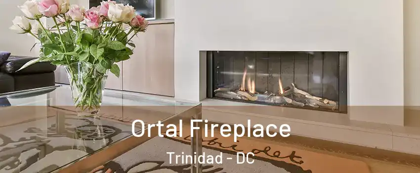 Ortal Fireplace Trinidad - DC