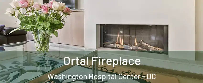 Ortal Fireplace Washington Hospital Center - DC