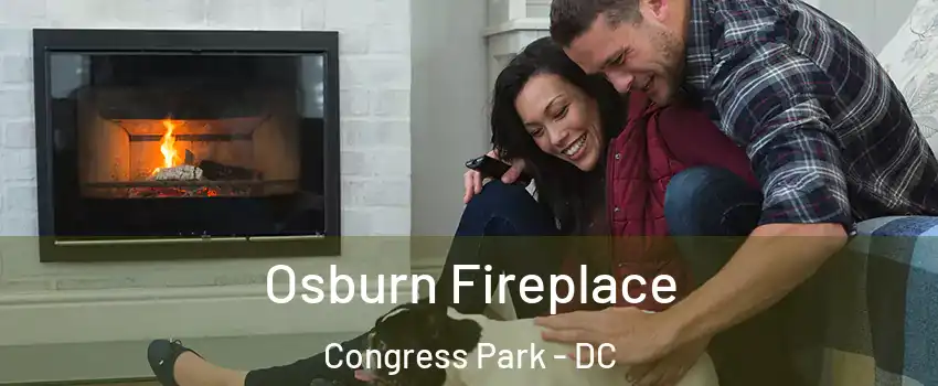 Osburn Fireplace Congress Park - DC