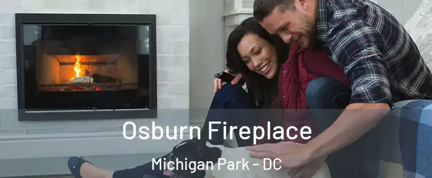 Osburn Fireplace Michigan Park - DC
