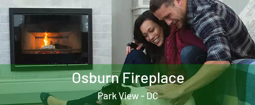 Osburn Fireplace Park View - DC