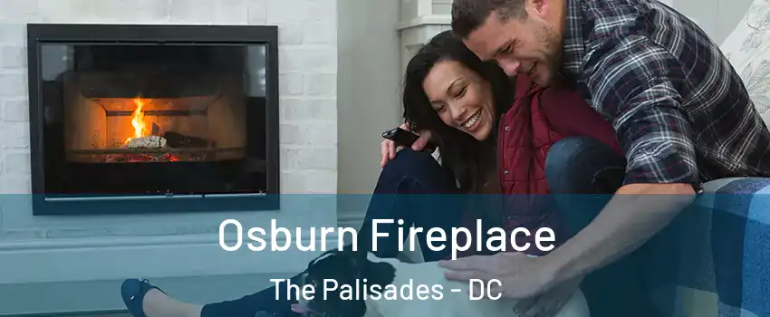 Osburn Fireplace The Palisades - DC
