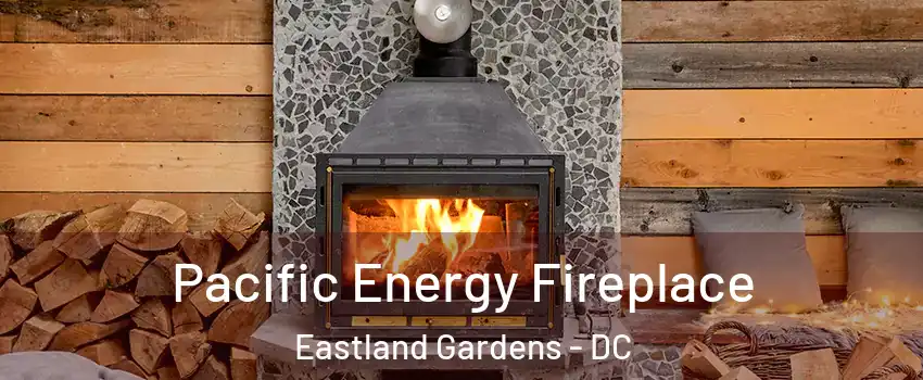 Pacific Energy Fireplace Eastland Gardens - DC