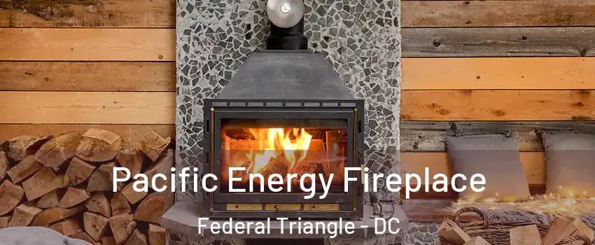 Pacific Energy Fireplace Federal Triangle - DC