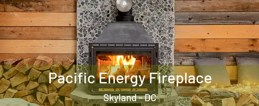 Pacific Energy Fireplace Skyland - DC