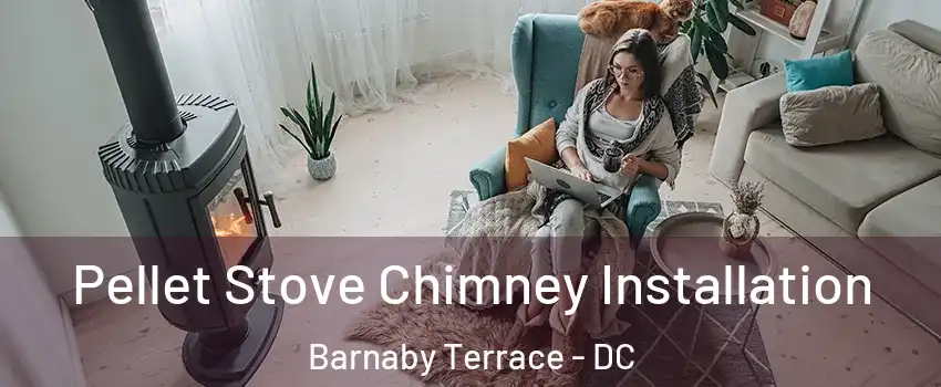 Pellet Stove Chimney Installation Barnaby Terrace - DC