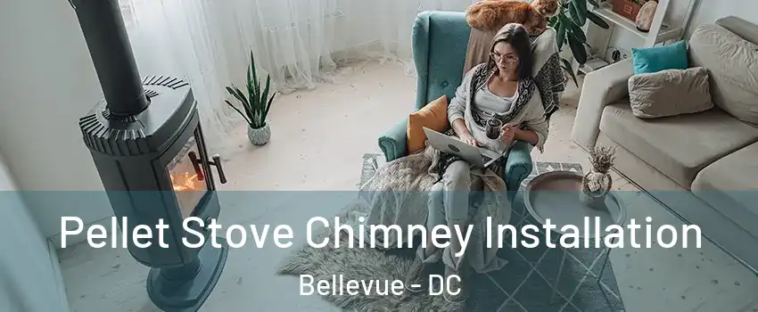 Pellet Stove Chimney Installation Bellevue - DC