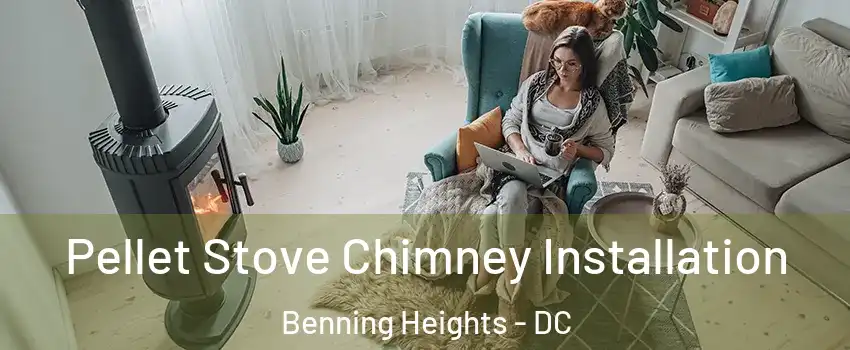 Pellet Stove Chimney Installation Benning Heights - DC