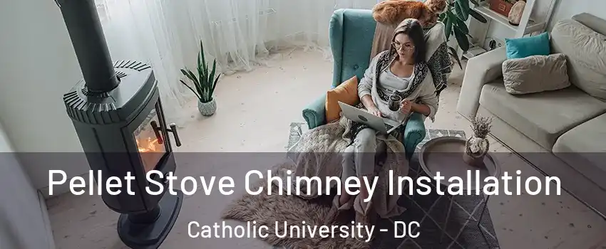Pellet Stove Chimney Installation Catholic University - DC
